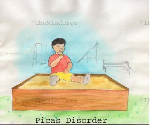 Picas Disorder